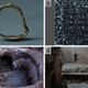 Artifacts found in the tomb: (a) a stirrup, (b) stone epitaph, (c) and (d) animal bones.